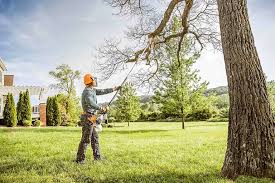 Best Tree Health Inspection  in Jeannette, PA
