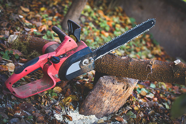 Best Pest Control for Lawns  in Jeannette, PA